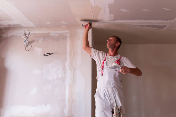 Wallpaper Removal and Painting in Minot Af, ND